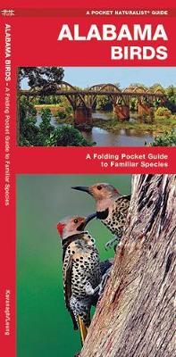 Alabama Birds: A Folding Pocket Guide to Familiar Species - Pocket Naturalist Guide Series