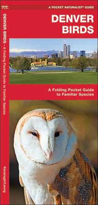 Denver Birds: A Folding Pocket Guide to Familiar Species - Pocket Naturalist Guide Series