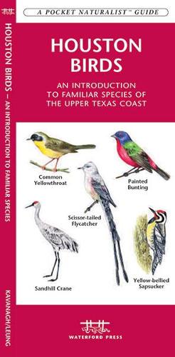 Houston Birds: A Folding Pocket Guide to Familiar Species of the Upper Texas Coast - Pocket Naturalist Guide Series