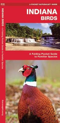 Indiana Birds: A Folding Pocket Guide to Familiar Species - Pocket Naturalist Guide Series