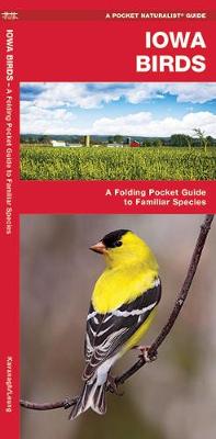 Iowa Birds: A Folding Pocket Guide to Familiar Species - Pocket Naturalist Guide Series