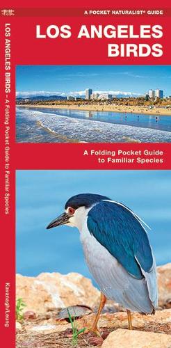 Los Angeles Birds: A Folding Pocket Guide to Familiar Species - Pocket Naturalist Guide Series