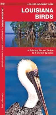 Louisiana Birds: A Folding Pocket Guide to Familiar Species - Pocket Naturalist Guide Series