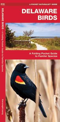 Delaware Birds: A Folding Pocket Guide to Familiar Species - Pocket Naturalist Guide Series