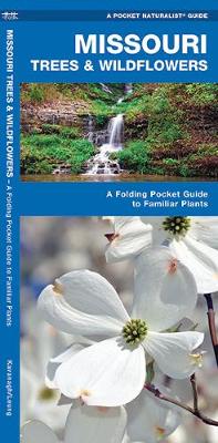 Missouri Trees & Wildflowers: A Folding Pocket Guide to Familiar Species - Pocket Naturalist Guide Series