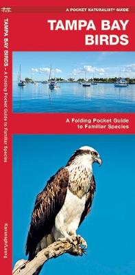 Tampa Bay Birds: A Folding Pocket Guide to Familiar Species - Pocket Naturalist Guide Series