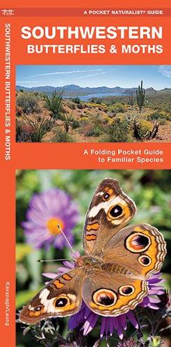 Southwestern Butterflies & Moths: A Folding Pocket Guide to Familiar Species - Pocket Naturalist Guide Series