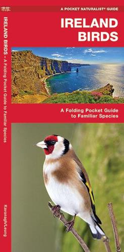 Ireland Birds: A Folding Pocket Guide to Familiar Species - Pocket Naturalist Guide Series