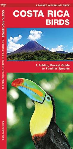 Costa Rica Birds: A Folding Pocket Guide to Familiar Species - Pocket Naturalist Guide Series