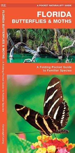 Florida Butterflies & Moths: A Folding Pocket Guide to Familiar Species - Pocket Naturalist Guide Series