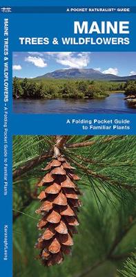 Maine Trees & Wildflowers: A Folding Pocket Guide to Familiar Species - Pocket Naturalist Guide Series