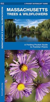 Massachusetts Trees & Wildflowers: A Folding Pocket Guide to Familiar Plants - Pocket Naturalist Guide Series