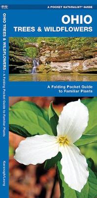 Ohio Trees & Wildflowers: A Folding Pocket Guide to Familiar Plants - Pocket Naturalist Guide Series