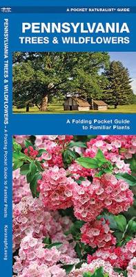 Pennsylvania Trees & Wildflowers: A Folding Pocket Guide to Familiar Plants - Pocket Naturalist Guide Series