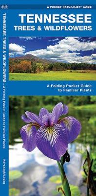 Tennessee Trees & Wildflowers: A Folding Pocket Guide to Familiar Species - Pocket Naturalist Guide Series