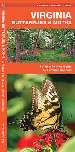 Virginia Butterflies & Moths: A Folding Pocket Guide to Familiar Species - Pocket Naturalist Guide Series
