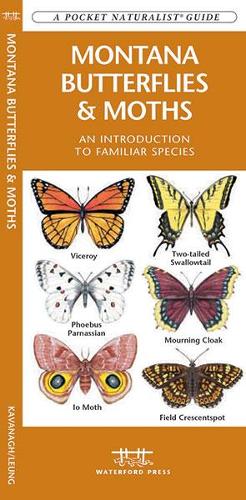 Montana Butterflies & Moths: A Folding Pocket Guide to Familiar Species - Pocket Naturalist Guide Series