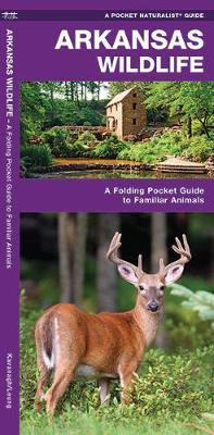 Arkansas Wildlife: A Folding Pocket Guide to Familiar Species - Pocket Naturalist Guide Series