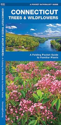 Connecticut Trees & Wildflowers: A Folding Pocket Guide to Familiar Plants - Pocket Naturalist Guide Series