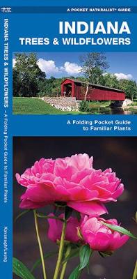 Indiana Trees & Wildflowers: A Folding Pocket Guide to Familiar Species - Pocket Naturalist Guide Series