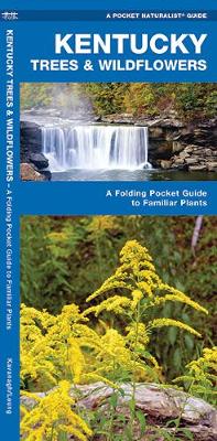 Kentucky Trees & Wildflowers: A Folding Pocket Guide to Familiar Species - Pocket Naturalist Guide Series