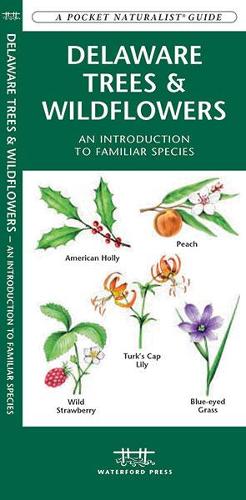 Delaware Trees & Wildflowers: A Folding Pocket Guide to Familiar Species - Pocket Naturalist Guide Series