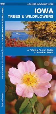 Iowa Trees & Wildflowers: A Folding Pocket Guide to Familiar Plants - Pocket Naturalist Guide Series