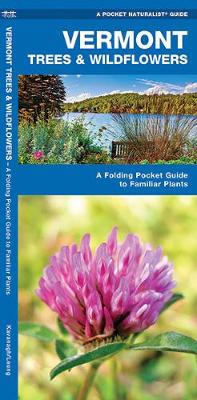 Vermont Trees & Wildflowers: A Folding Pocket Guide to Familiar Species - Pocket Naturalist Guide Series