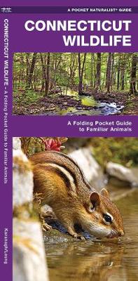 Connecticut Wildlife: A Folding Pocket Guide to Familiar Species - Pocket Naturalist Guide Series