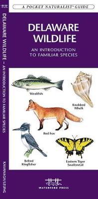 Delaware Wildlife: A Folding Pocket Guide to Familiar Species - Pocket Naturalist Guide Series