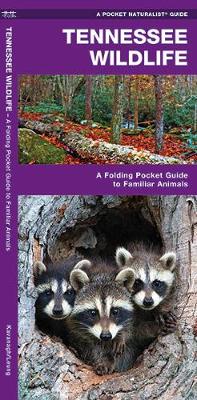 Tennessee Wildlife: A Folding Pocket Guide to Familiar Species - Pocket Naturalist Guide Series
