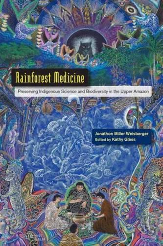 Rainforest Medicine (Paperback)