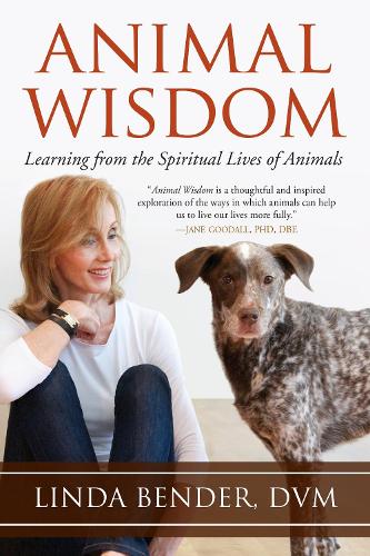 Animal Wisdom (Paperback)