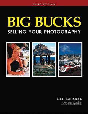 Big Bucks Selling Your Photography 3ed. (Paperback)