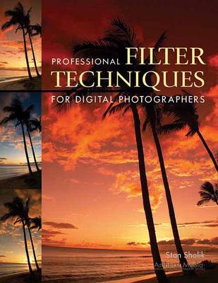 Professional Filter Techniques For Digital Photographers (Paperback)