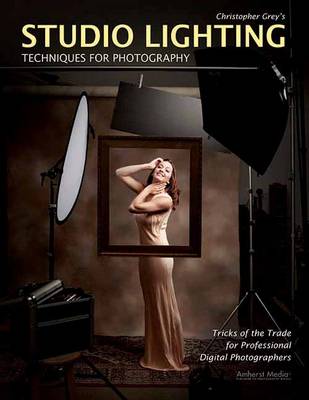 Studio Lighting Techniques For Photography: Tricks of the Trade for Professional Digital Photography (Paperback)