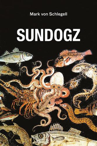 Sundogz - Semiotext(e) / Native Agents (Paperback)