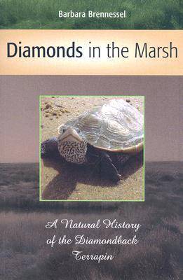 Diamonds in the Marsh (Paperback)