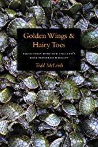 Golden Wings & Hairy Toes (Paperback)