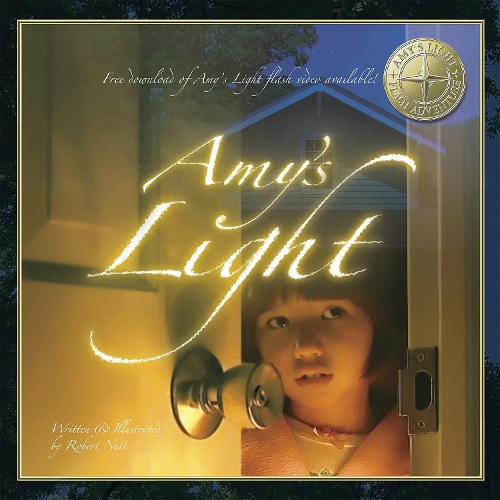 Amy'S Light (Paperback)