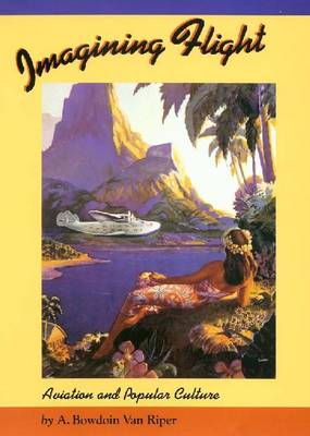 Imagining Flight: Aviation and Popular Culture (Hardback)