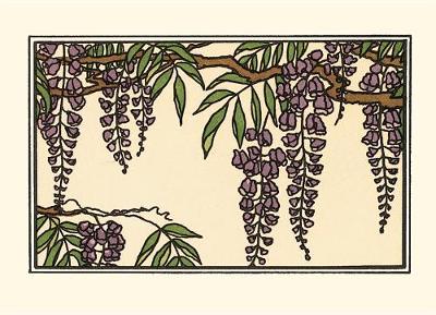 Wisteria