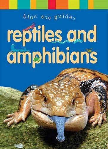 Reptiles & Amphibians (Hardback)