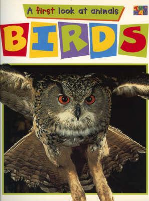 Birds (Paperback)