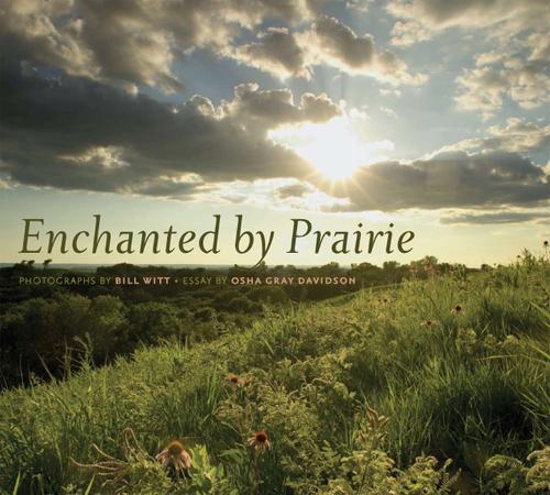 Enchanted by Prairie - Bur Oak Books (Hardback)