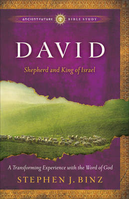David: Shepherd and King of Israel (Paperback)