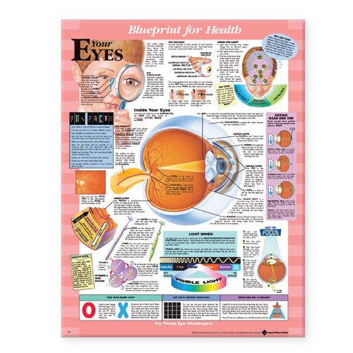 Blueprint for Health Your Eyes Chart (Wallchart)