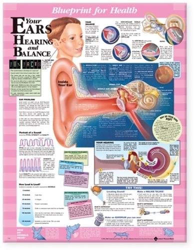 Blueprint for Health Your Ears Chart (Wallchart)