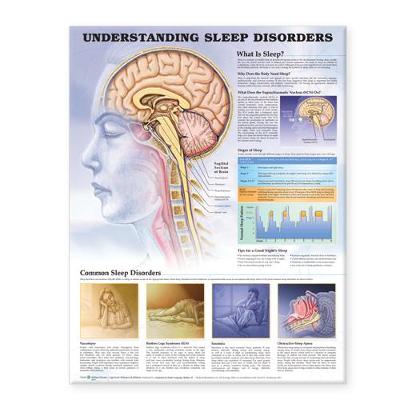 Understanding Sleep Disorders Anatomical Chart (Wallchart)
