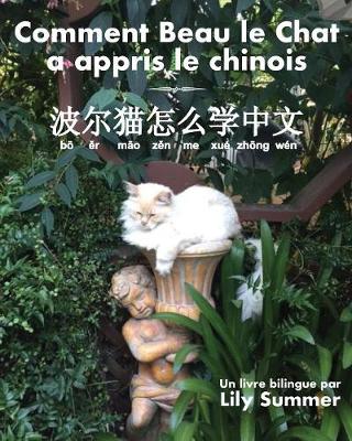 Comment Beau Le Chat a Appris Le Chinois: Un Livre Bilingue (Paperback)